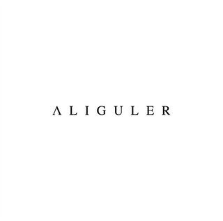 Varlik_10 - Ali Guler Us